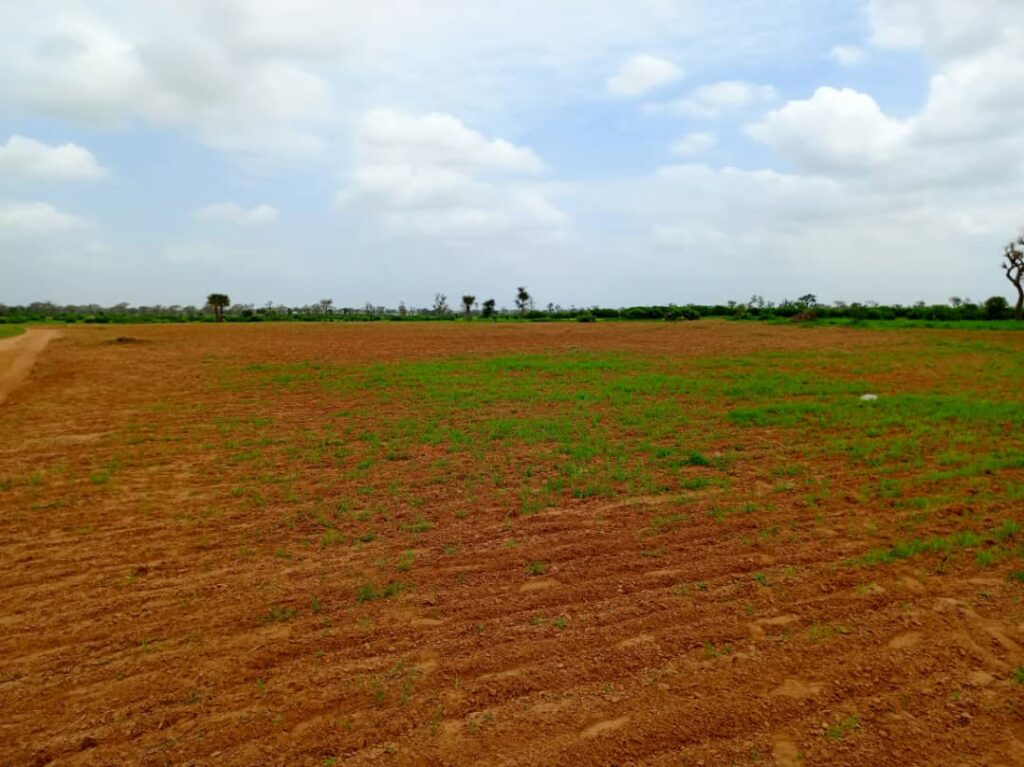 Terrain Agricole de 1,27 Hectare à Vendre à Notto