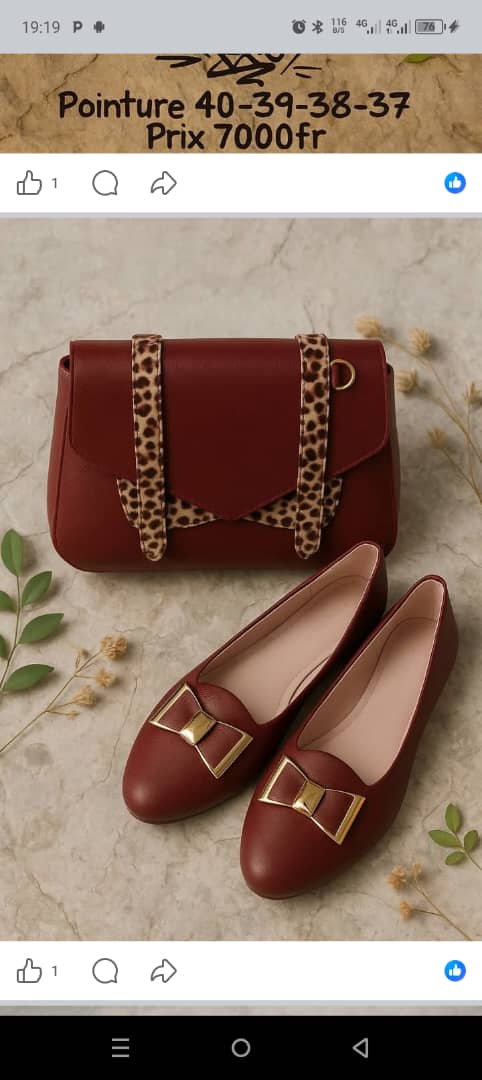 Ensemble Sac à main & Chaussures Femme Élégance et Style