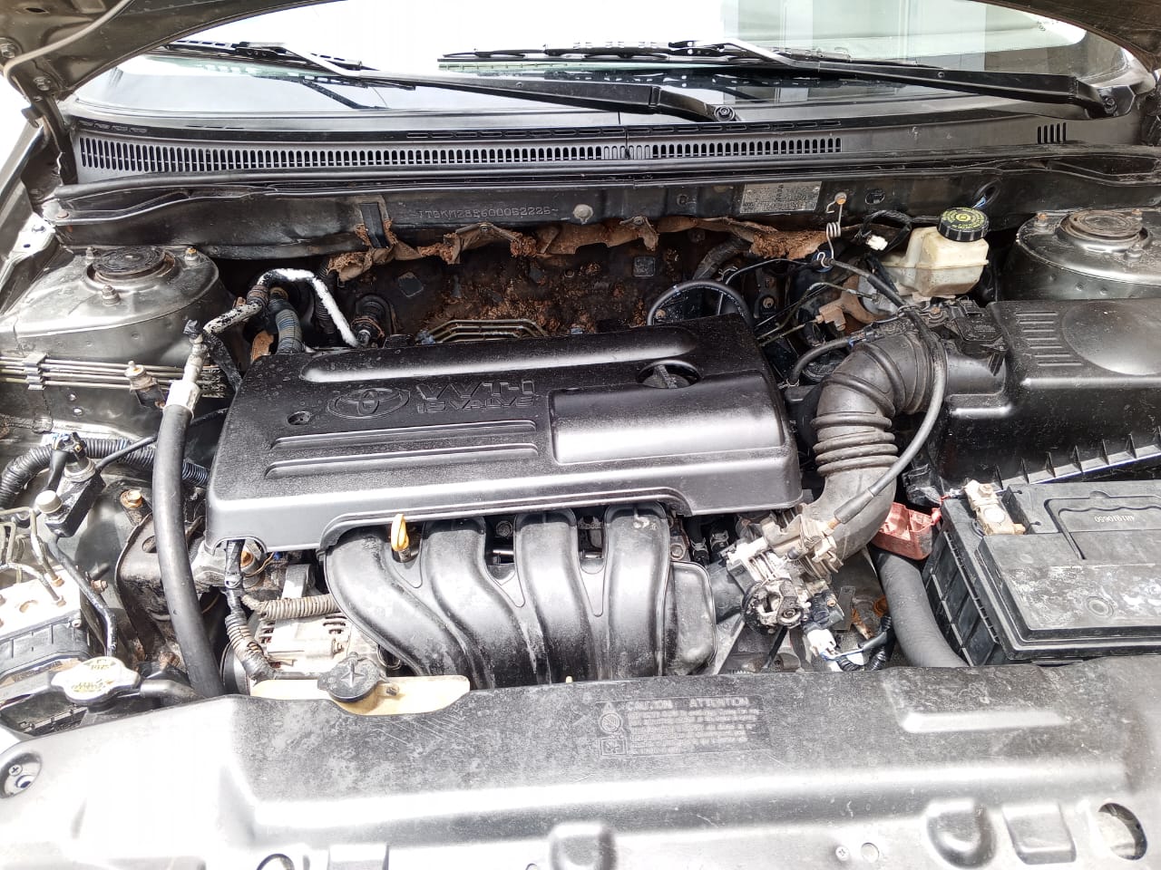 TOYOTA COROLLA DROGBA