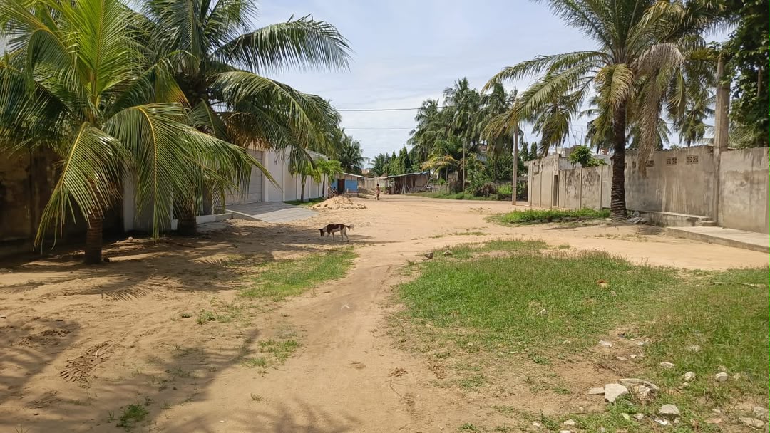 Terrain de 600 m² à Vendre à Lomé