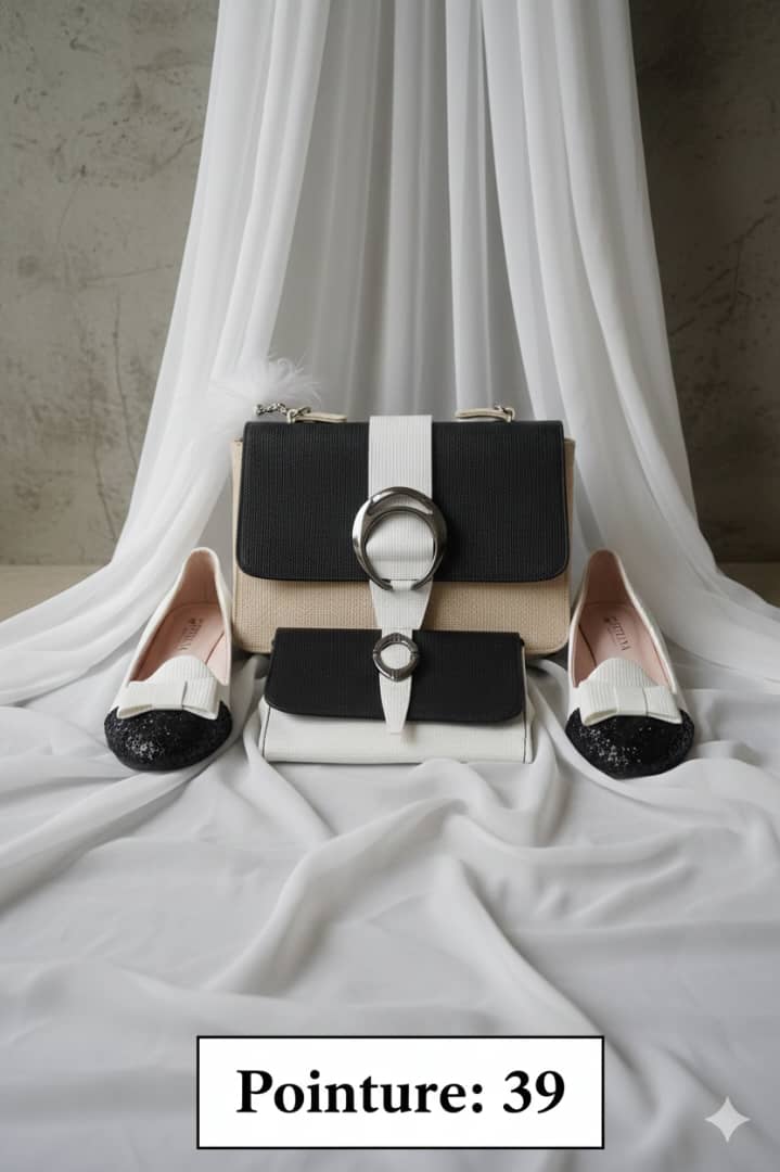 Ensemble Sac à main & Chaussures Femme Élégance et Style