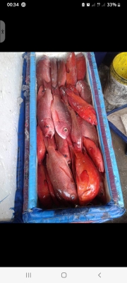 Poissonnerie,  la marmite