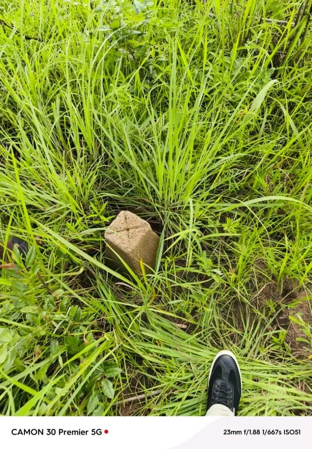 Deux Lots Collés de 500 m²