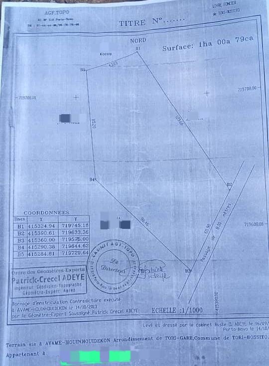Terrain d’1 Hectare à Vendre à Tori Avamè, Atlantique – Titre Foncier