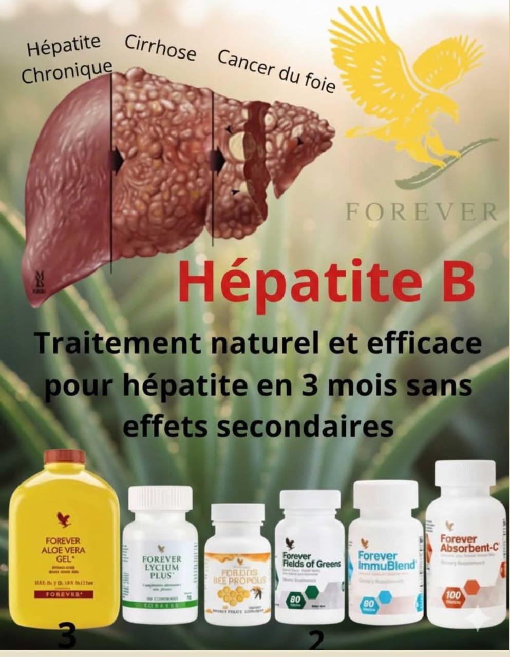 Forever Aloe Vera Gel Forever Bright Toothgel  Santé & Hygiène Naturelle