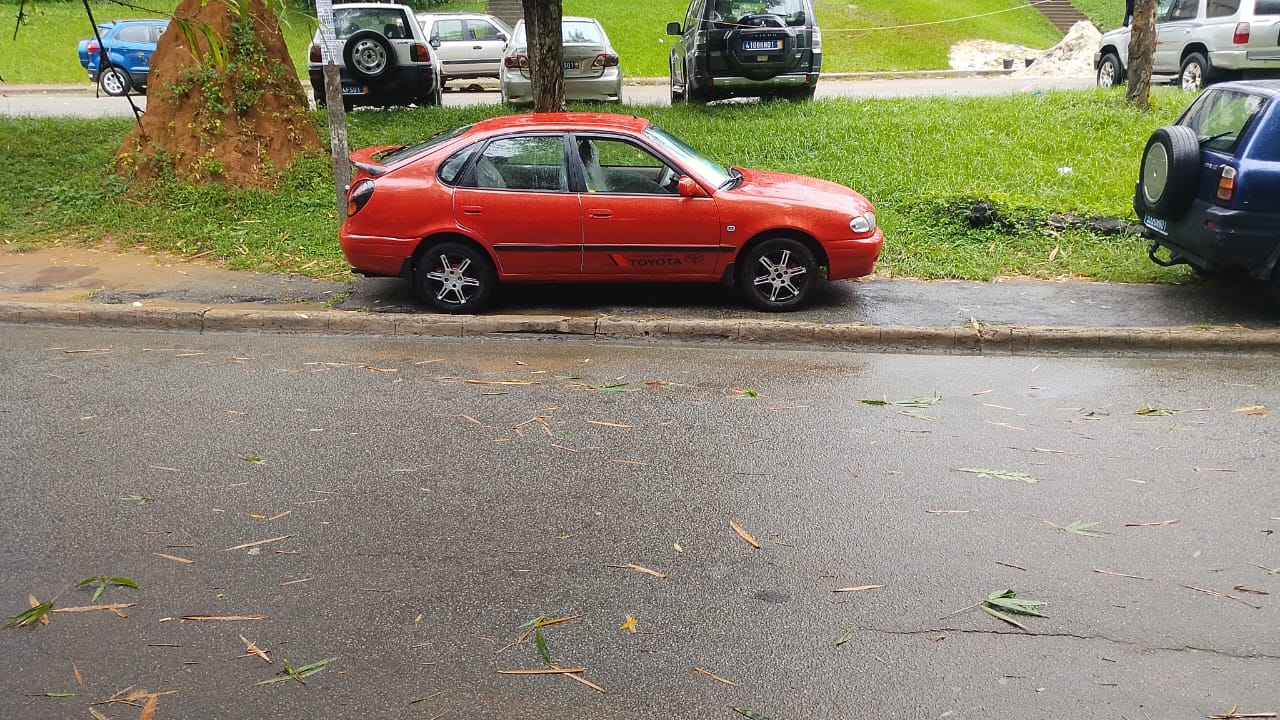 Toyota Corolla Occasion à Vendre
