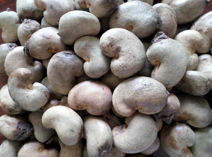 Noix de cajou brutes naturelles