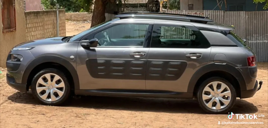 Citroën C4 Cactus 2017 Essence Manuelle