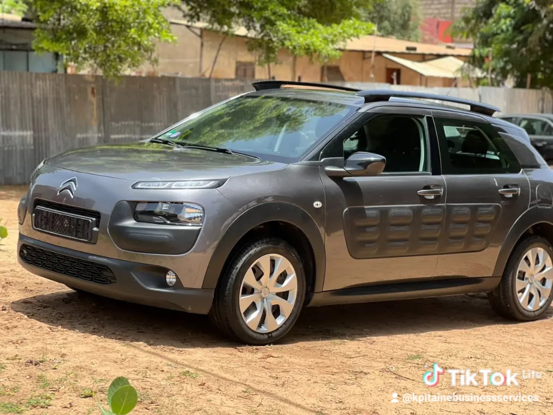 Citroën C4 Cactus 2017 Essence Manuelle