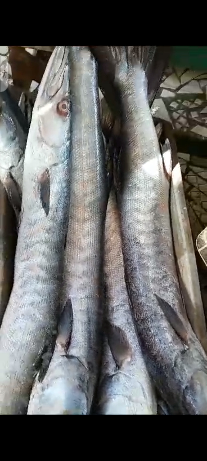 Poissonnerie,  la marmite