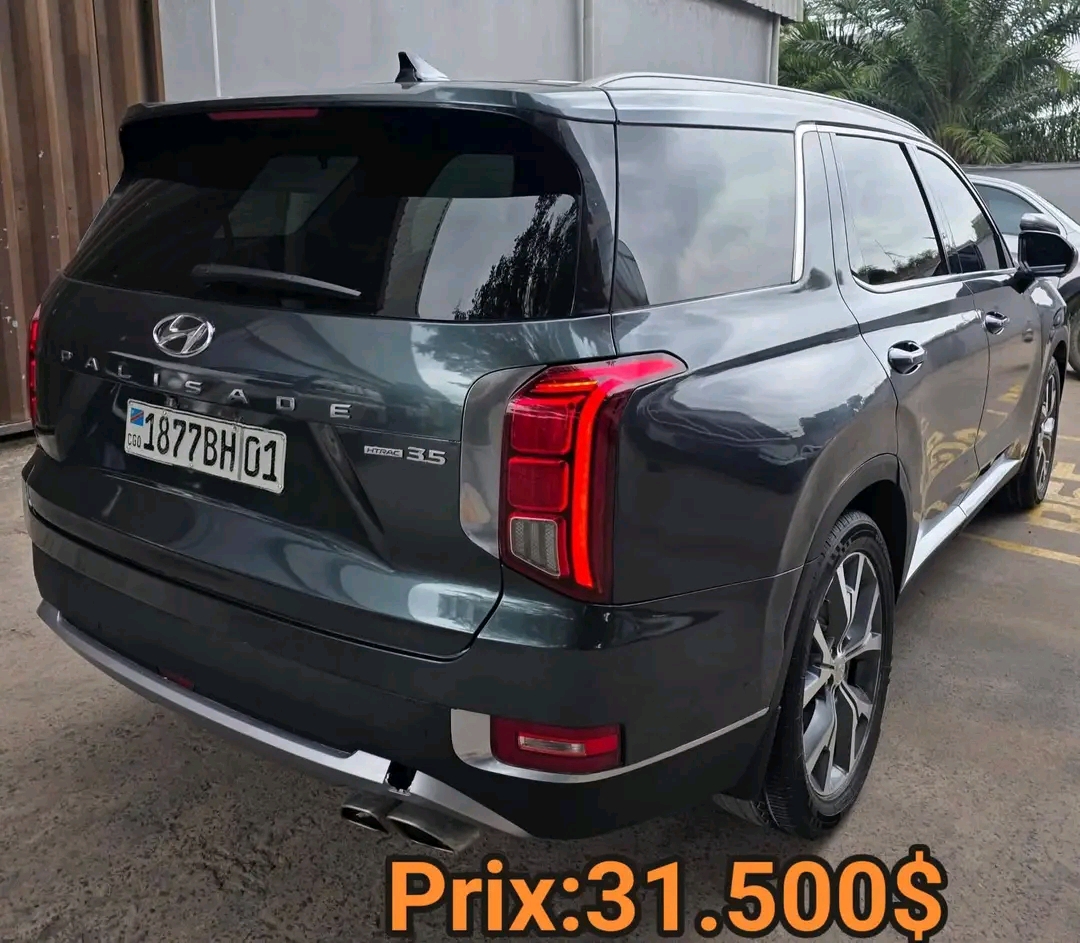 Hyundai Palisade 4x4 d’Occasion